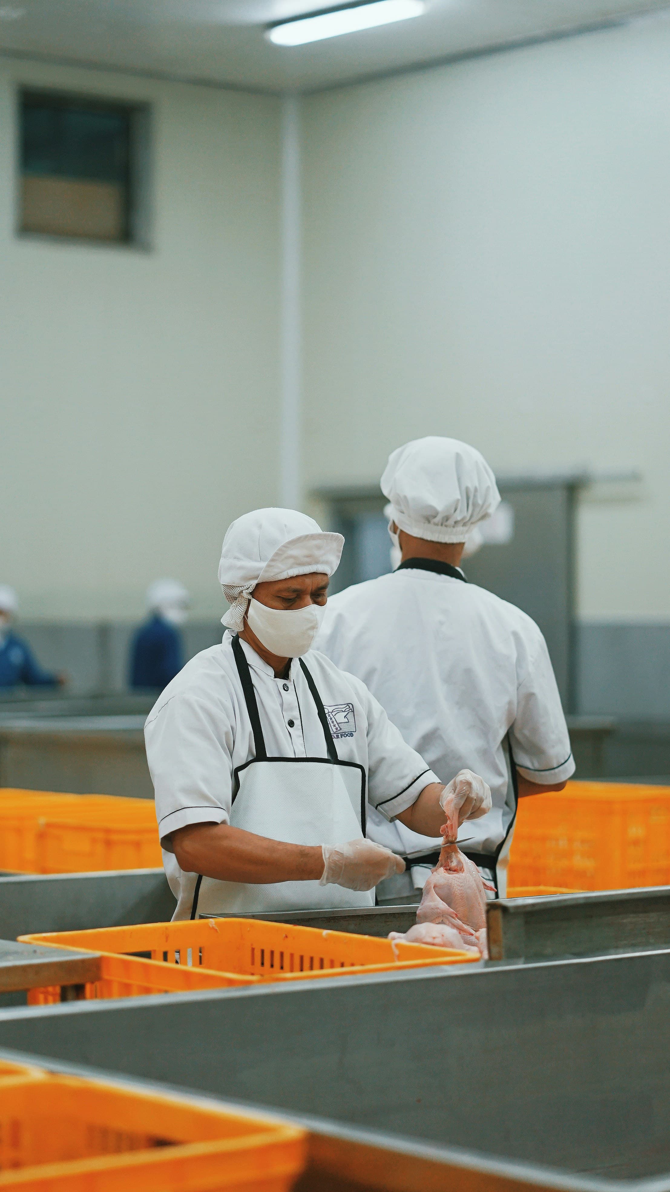Transporte de ingredientes alimentarios: revisión del cierre del primer semestre y oportunidad de corrección de costos de julio