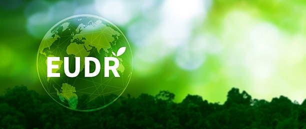 Actualización sobre la aplicación de la EUDR: los productores indonesios de productos químicos de palma en riesgo