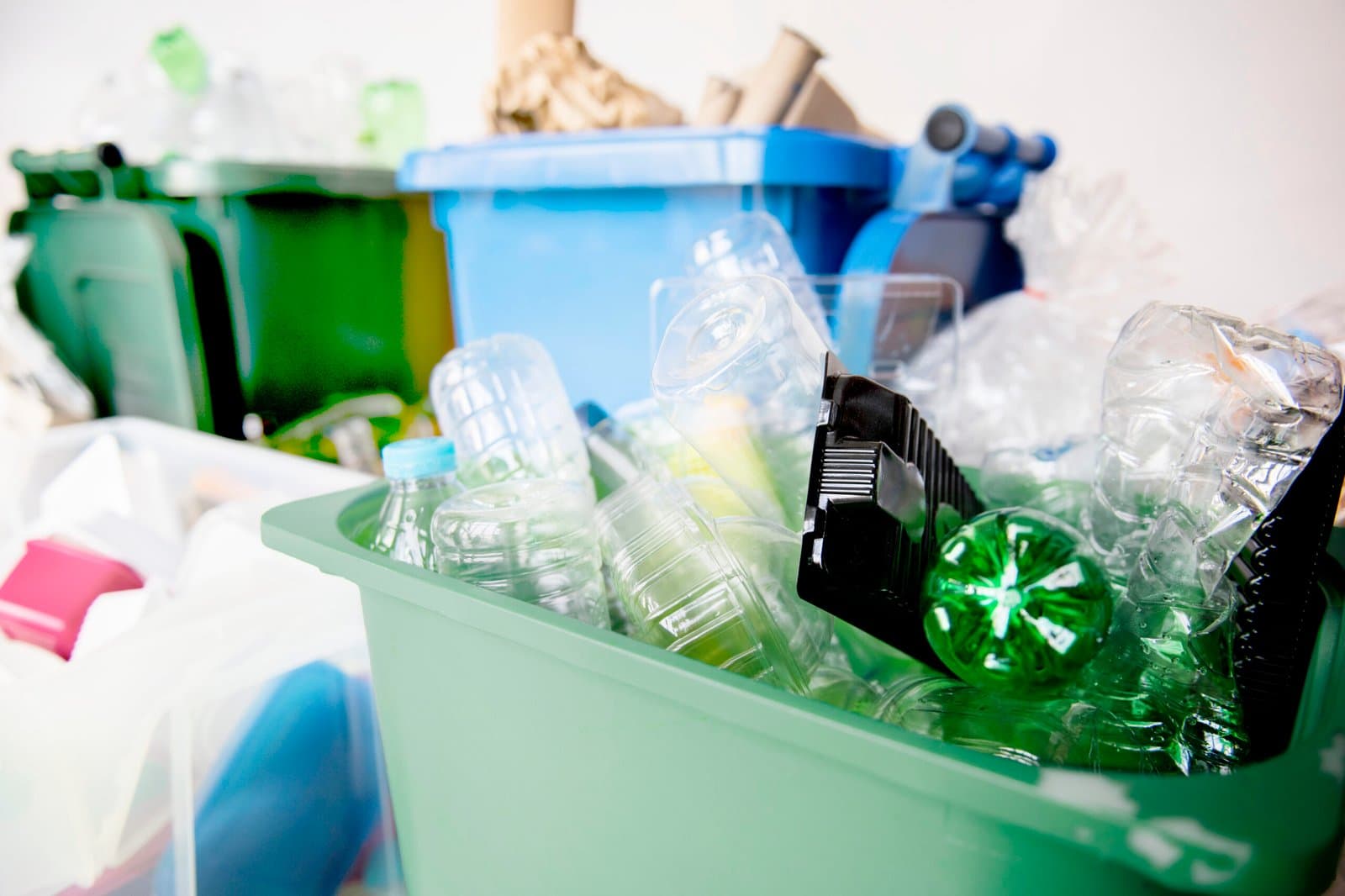 Los bioplásticos en el punto de mira: las marcas son cautelosas ante la preocupación por la biodiversidad y el reciclaje