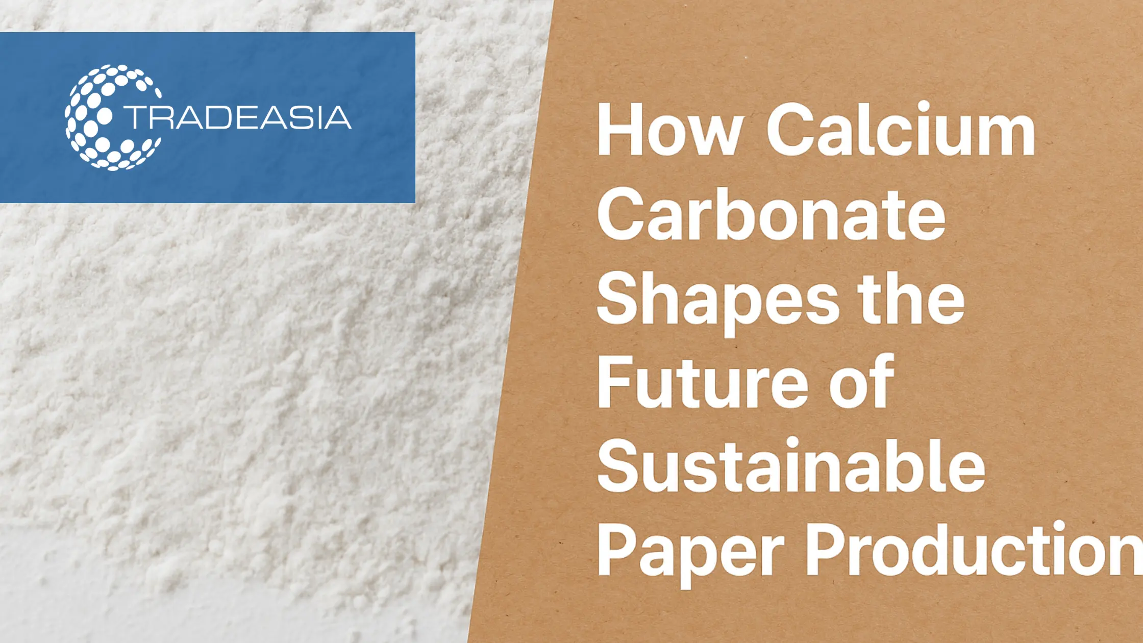Cómo el carbonato de calcio da forma al futuro de la producción sostenible de papel