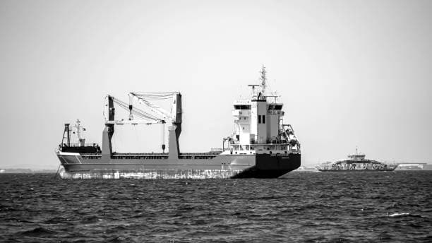 El índice Baltic Dry cae a un mínimo de dos semanas, lo que pone a prueba el transporte a granel