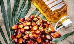 Oleína cruda de almendra de palma